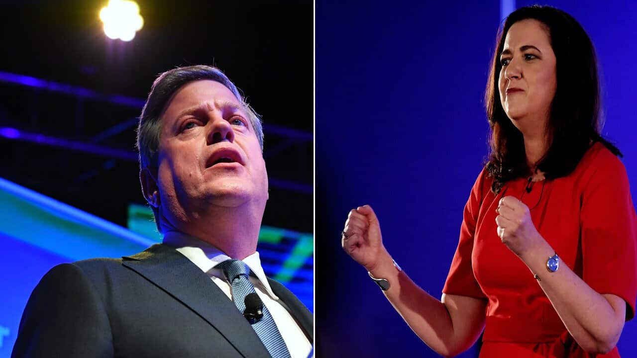 Premier Annastacia Palaszczuk and Opposition Leader Tim Nicholls.