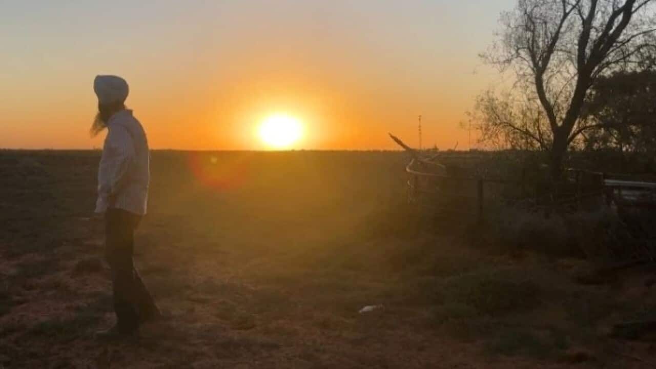 A Grewal family member on their land (SBS Punjabi).jpg