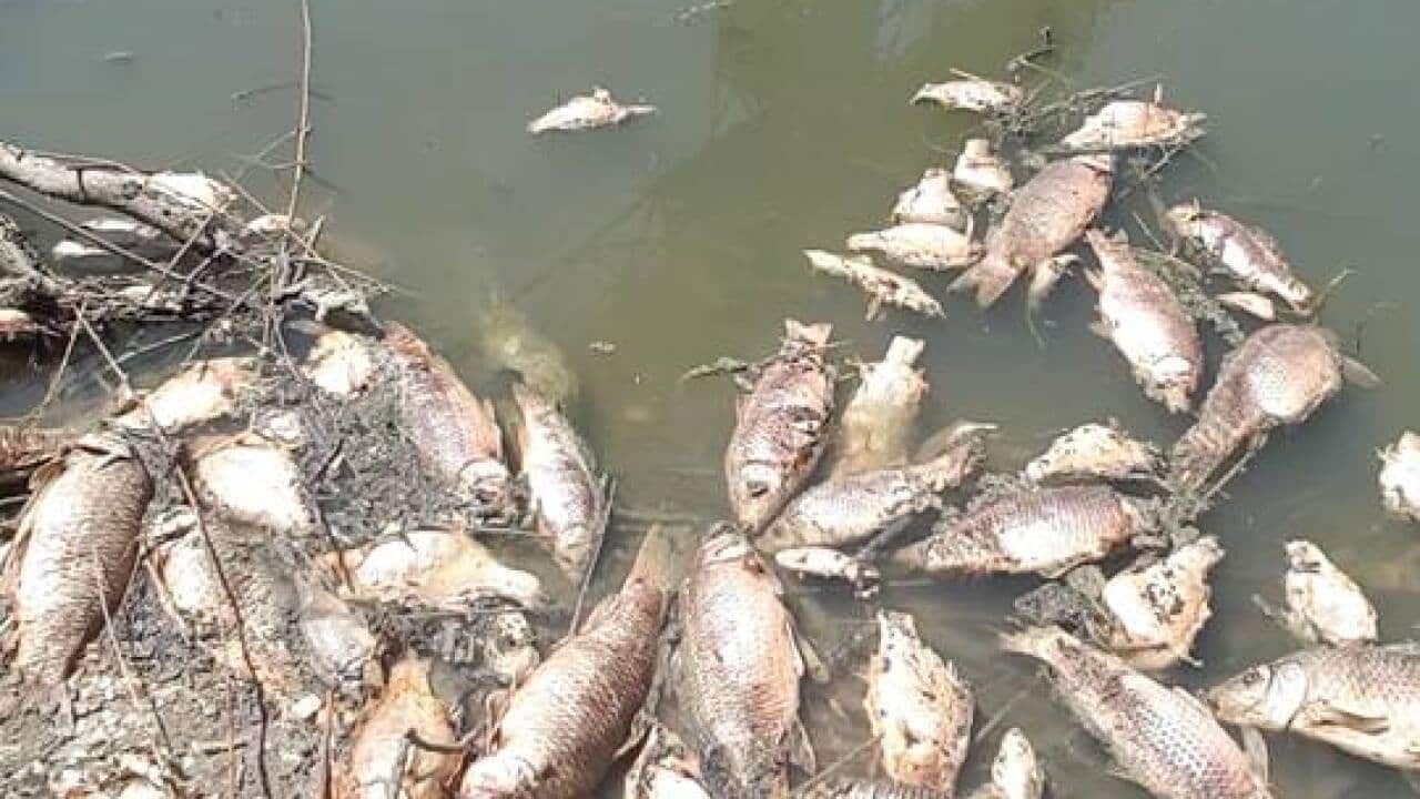 Image for read more article 'READ MORE'