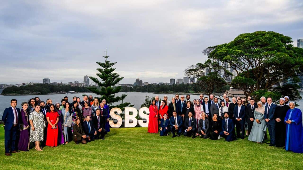 WhatsApp Image 2026-02-25 at 10.37.02 PM.jpeg