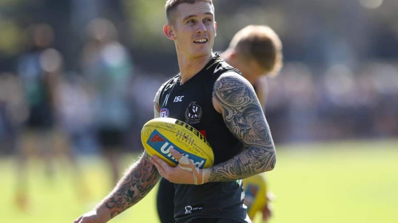 Magpie Dayne Beams