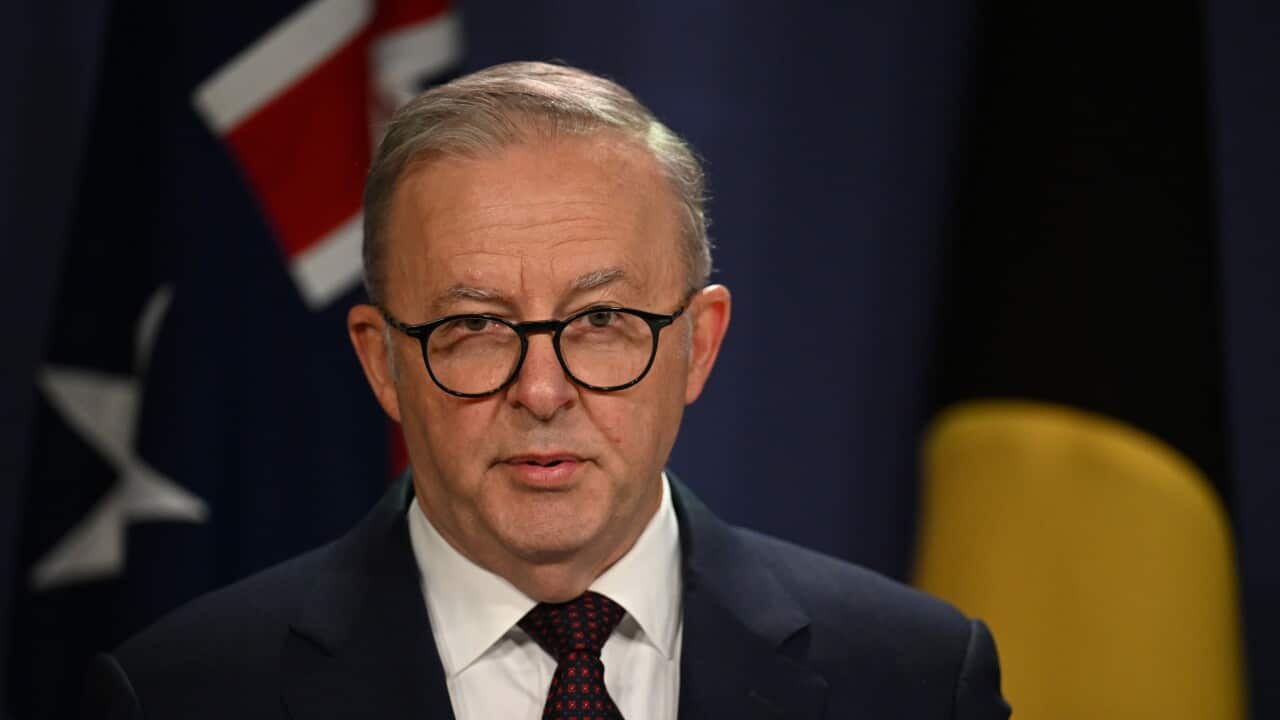 ANTHONY ALBANESE PRESSER