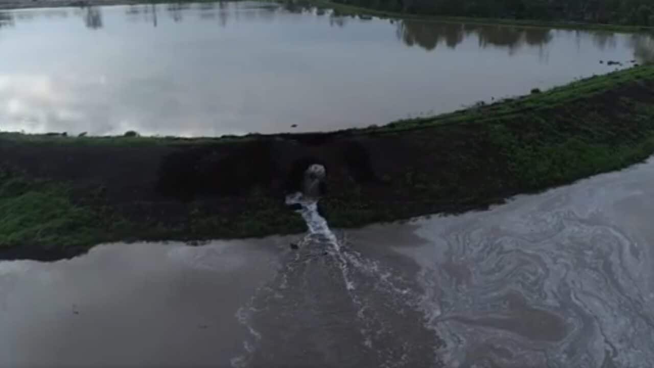 A resident spotted a 3.5m hole in the Bolzan Quarry Dam on Friday.