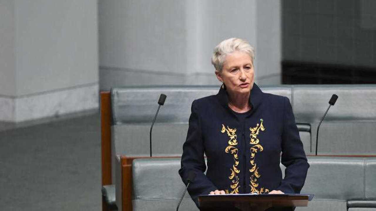 Independent MP for the seat of Wentworth Kerryn Phelps wants sick asylum seekers brought to Australia as soon as possible.