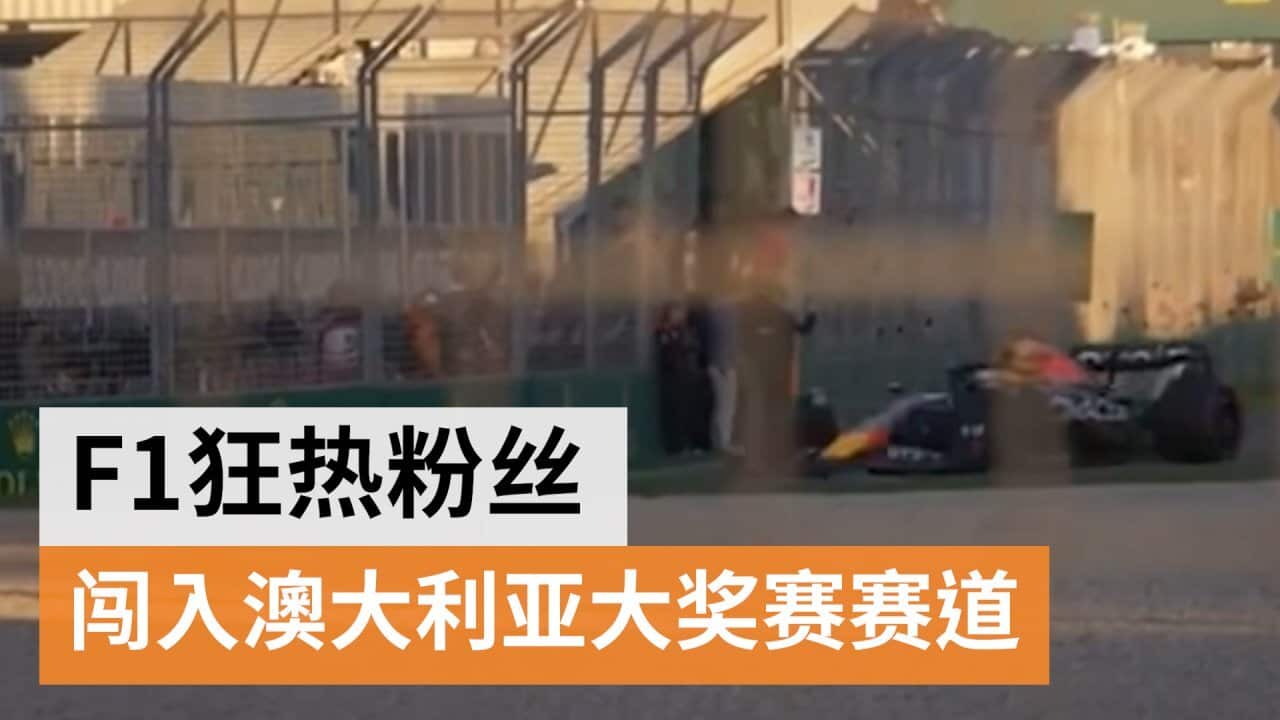 Image for read more article ''