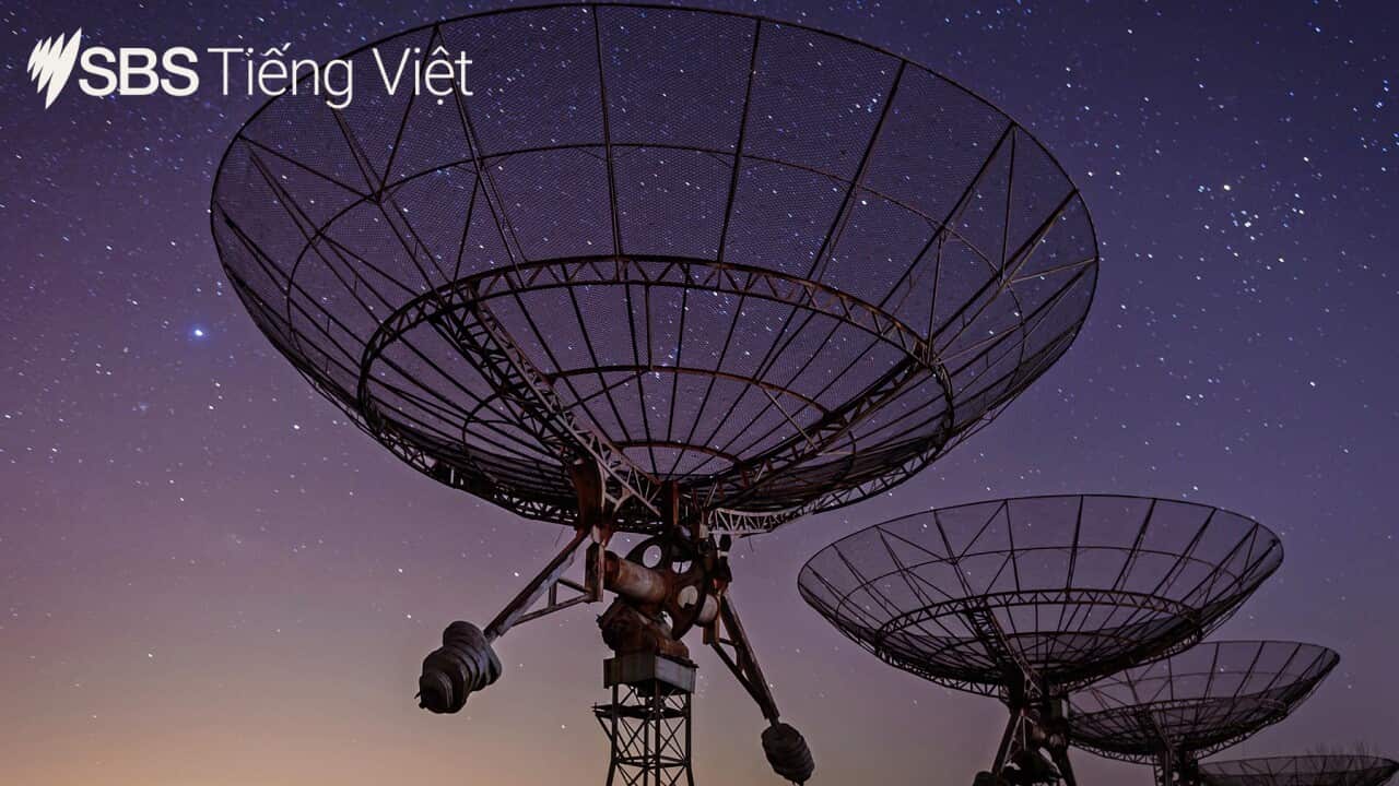 Vietnamese news bulletin