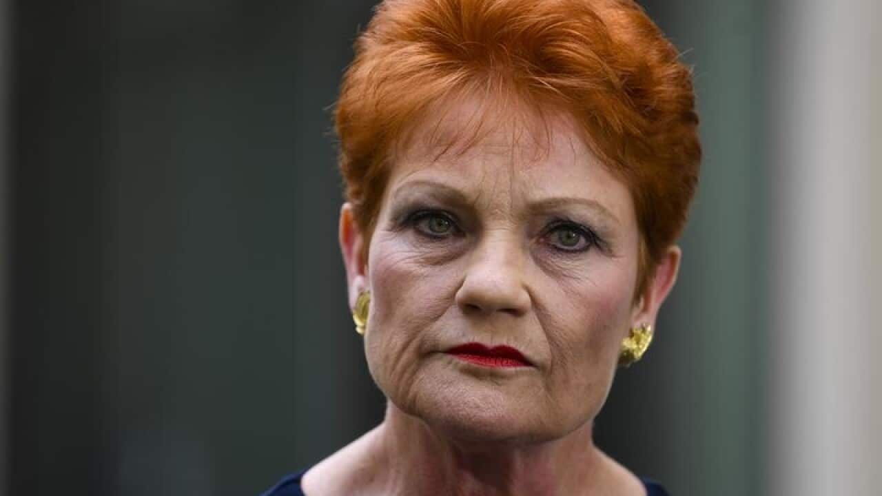 One Nation party leader Pauline Hanson
