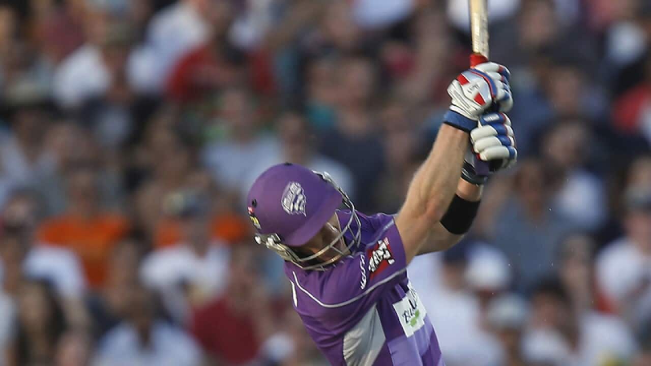 Hobart Hurricanes skipper Tim Paine