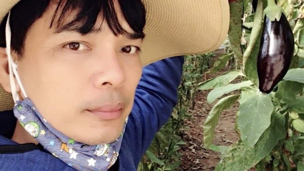 Sáu Củ Mì - Nguyên Hồ
