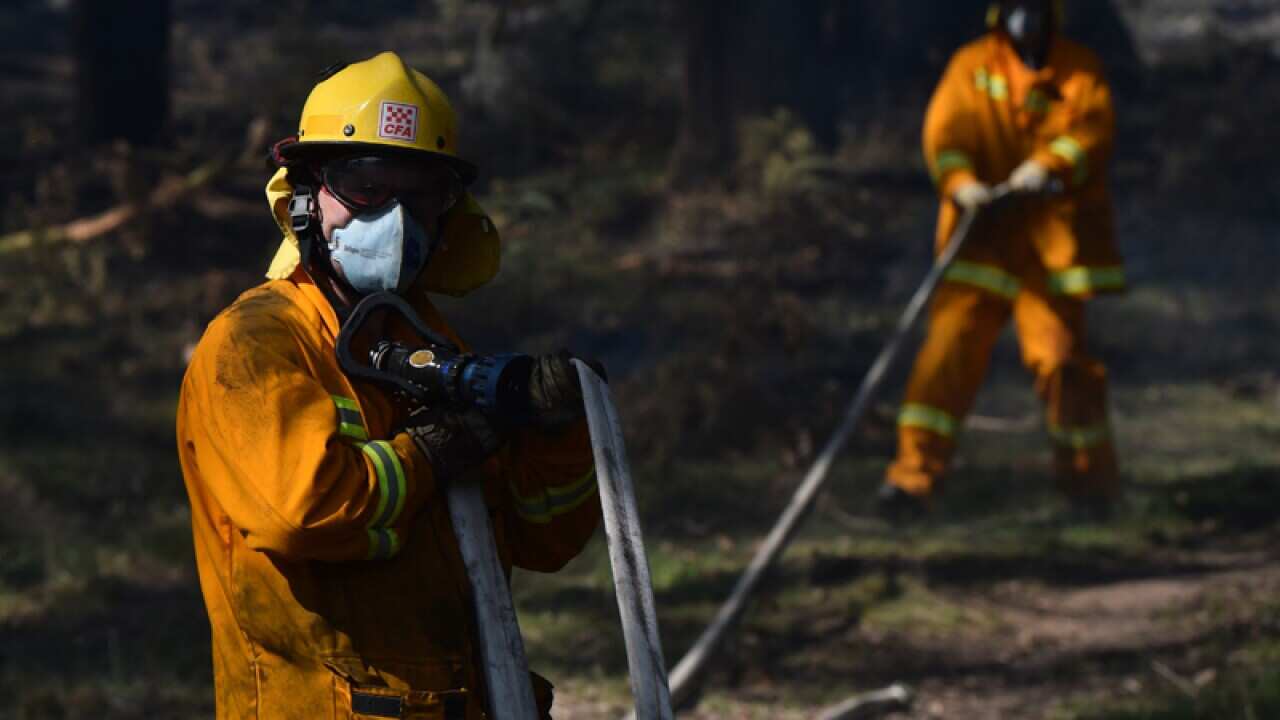 Victorian firefighters