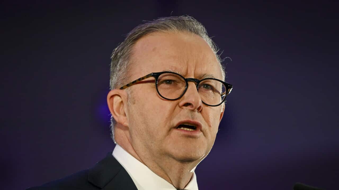 ANTHONY ALBANESE VOICE REFERENDUM ANNOUNCEMENT