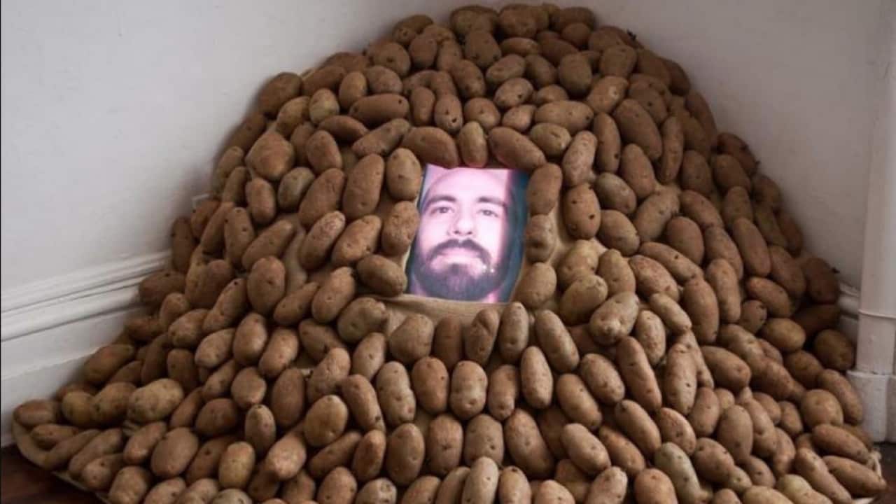 Potato head