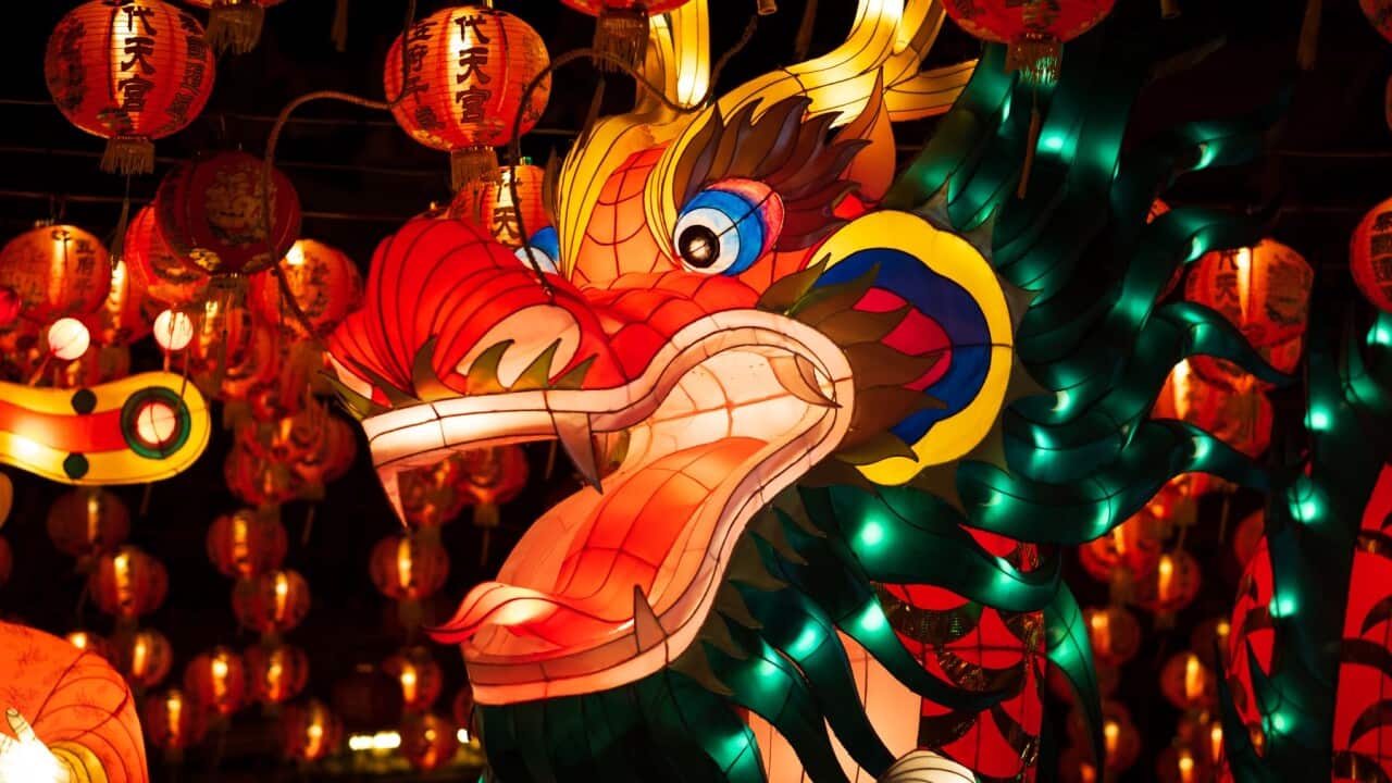 Dragon lantern