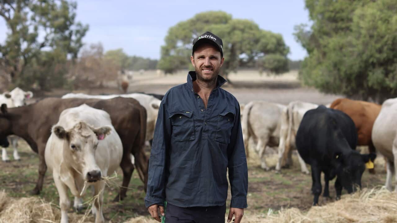 Meet the Australian farmers Donald Trump has a beef with
