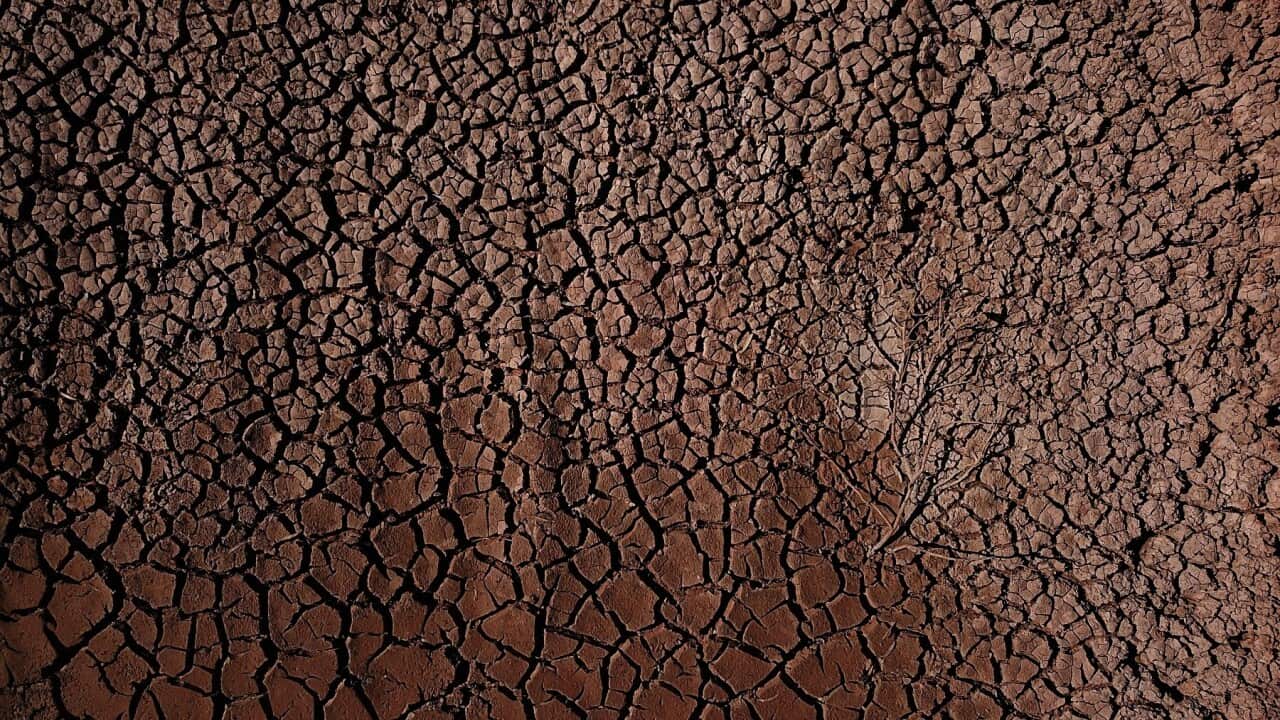 MENINDEE POONCARIE DROUGHT FEATURE