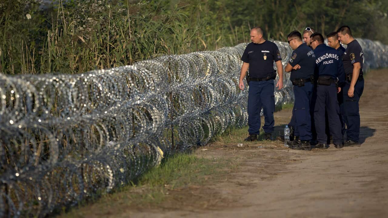 Hungarian police inspect a barbed wire fence on the border with Serbia, in Roszke, Hungary. (AP)