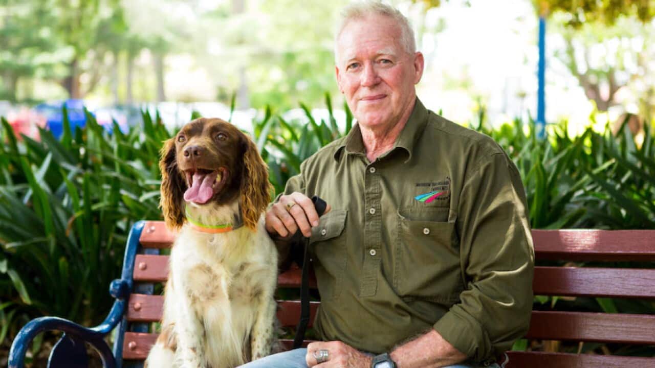 Image for read more article ''