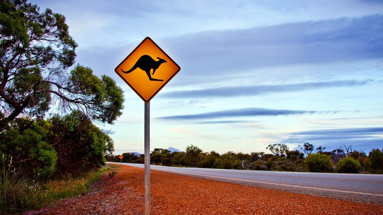 Image for read more article 'related content'