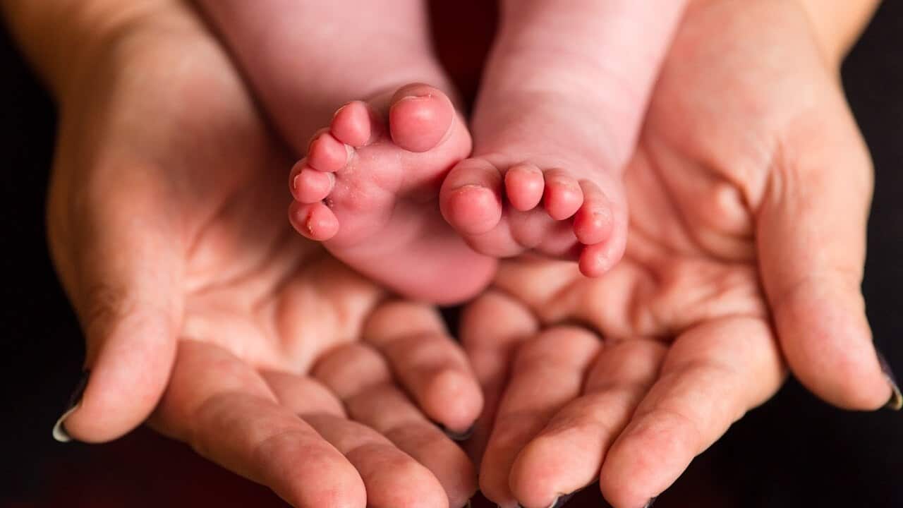 A new study has shown Australian's attitudes towards fertility.