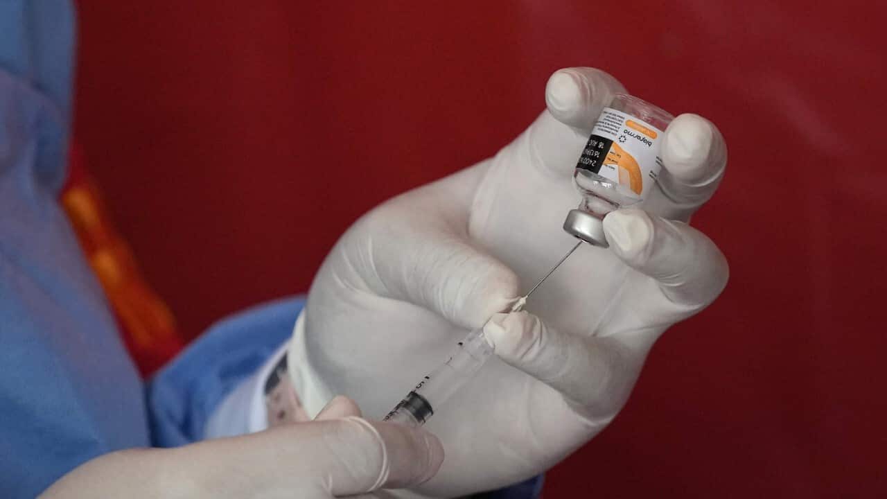 A medical worker prepares a shot of the Sinovac COVID-19 (AAP)