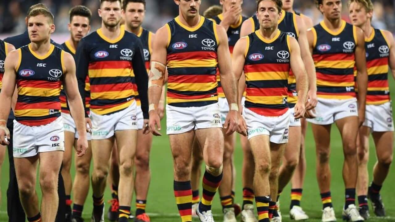 AFL CATS CROWS