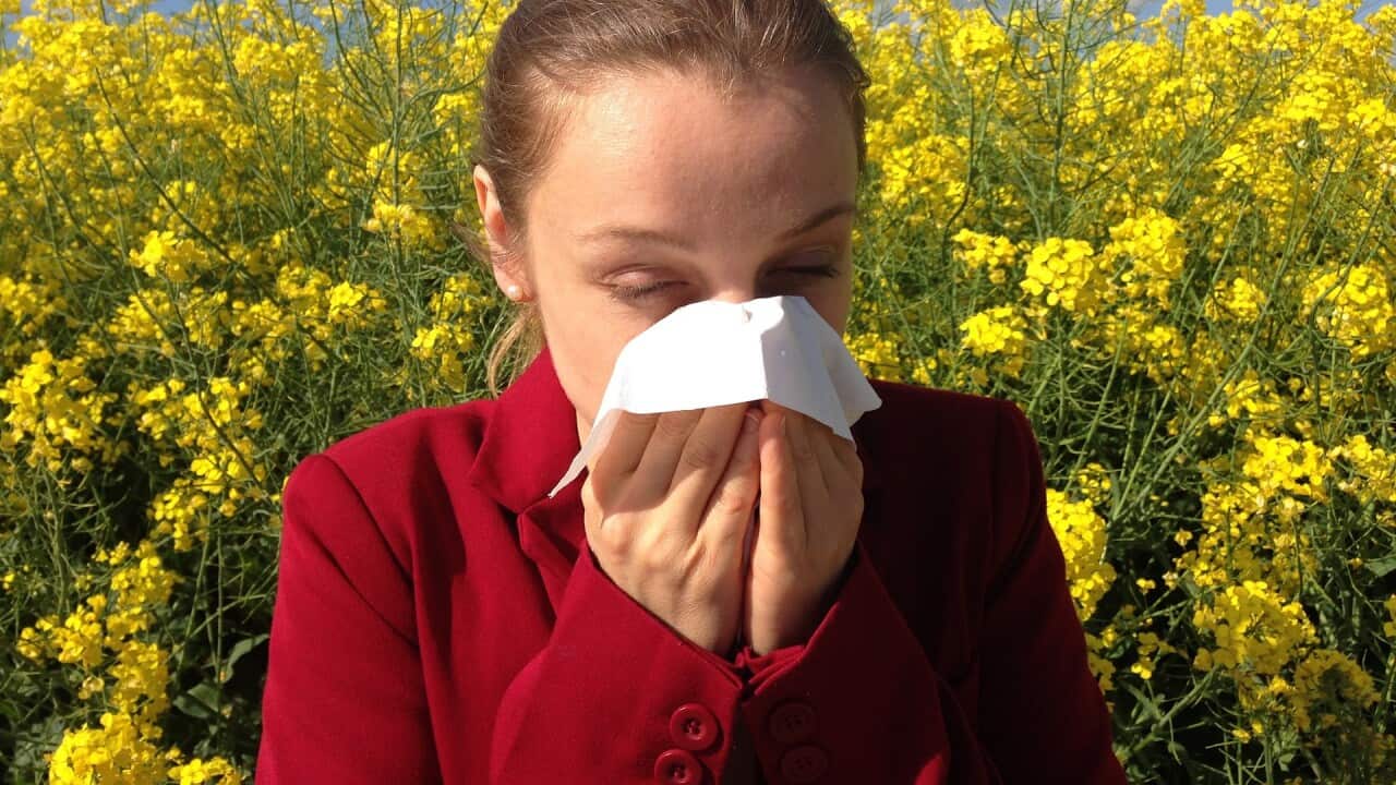 hayfever