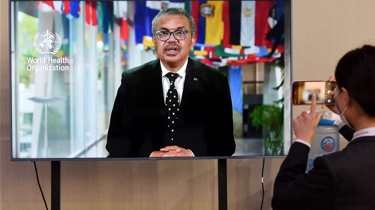 Dr Tedros Adhanom Ghebreyesus, director general of the WHO.