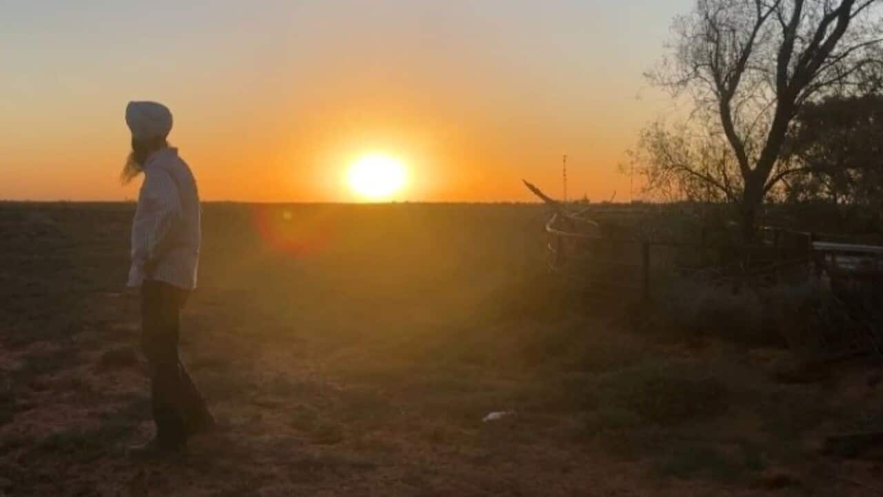 A Grewal family member on their land (SBS Punjabi).jpg