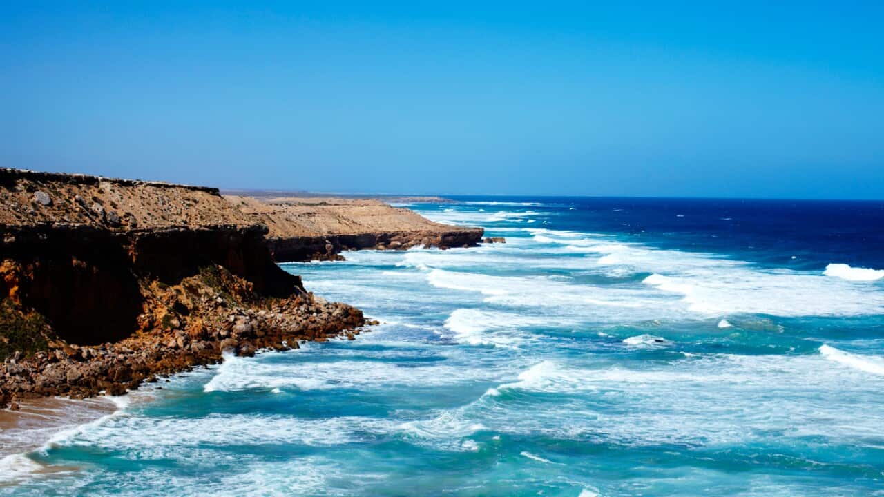 Venus bay