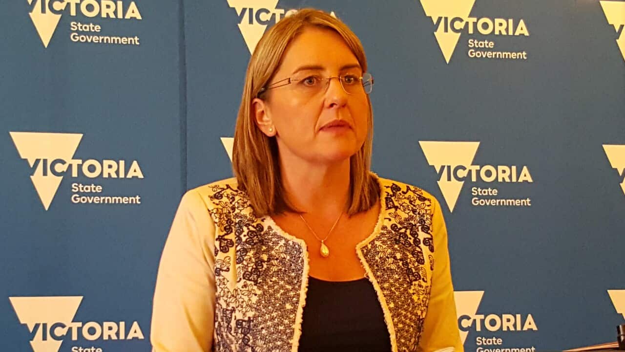 Jacinta Allan, Daniel Andrews, Victoria, Budget 2016, Public Transport, funding, Victoria, Australia