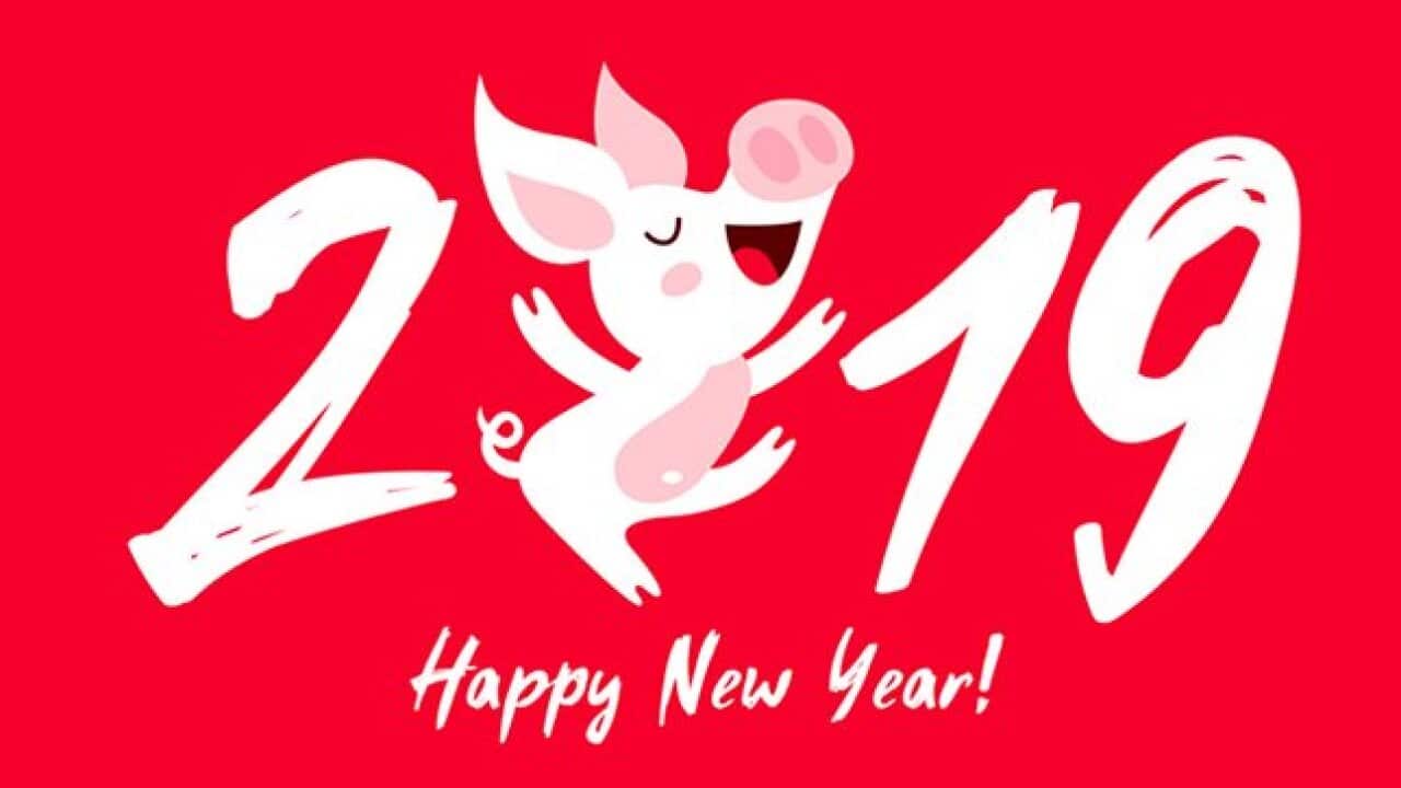 2019 Year of Pig