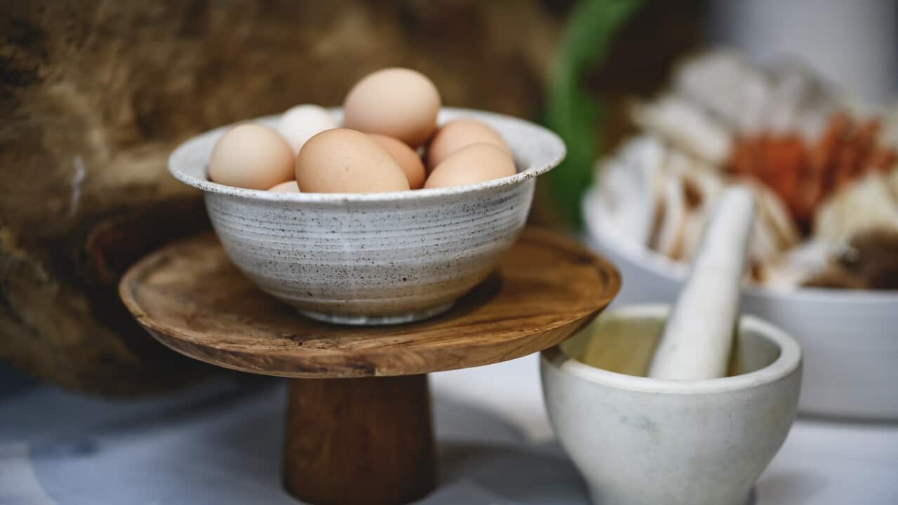 The Cook Up Media Launch