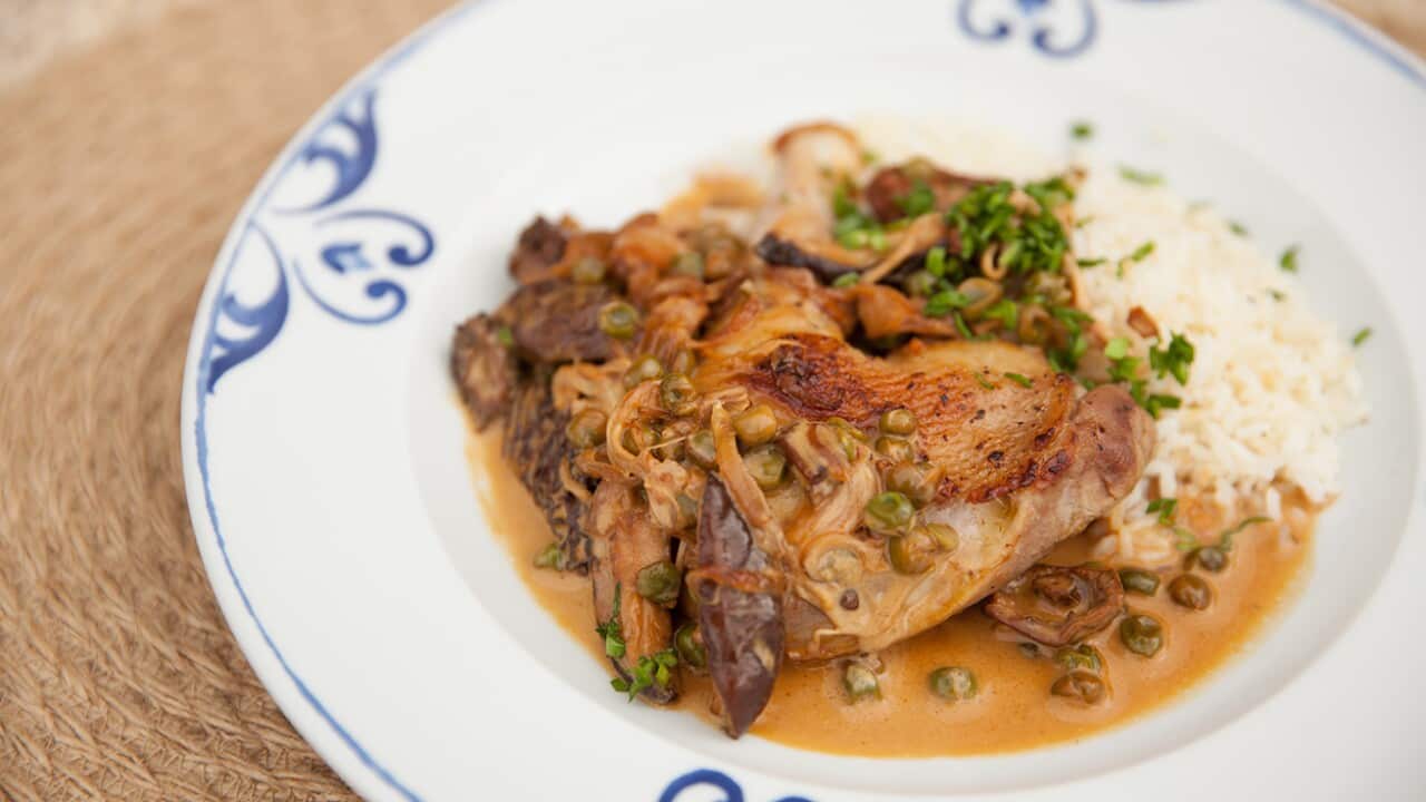 Chicken and mushrooom fricassee