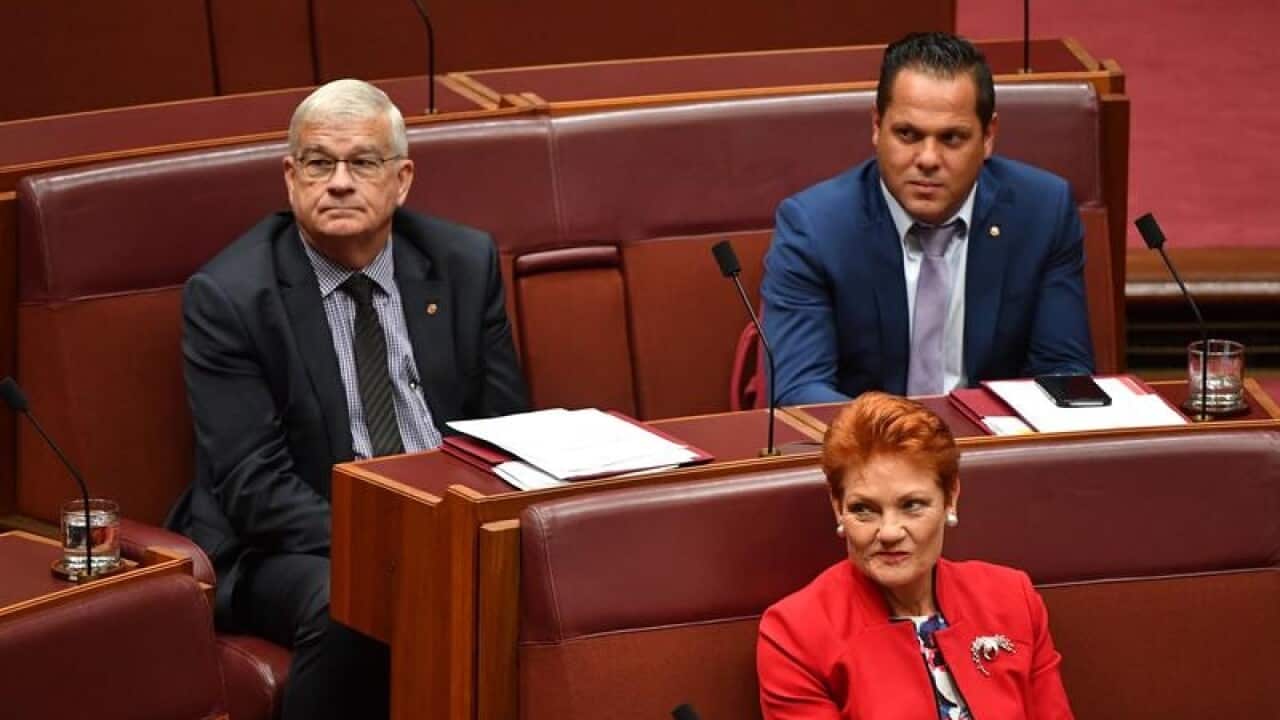 File - One Nation's Brian Burston, Pauline Hanson and Peter Georgiou.