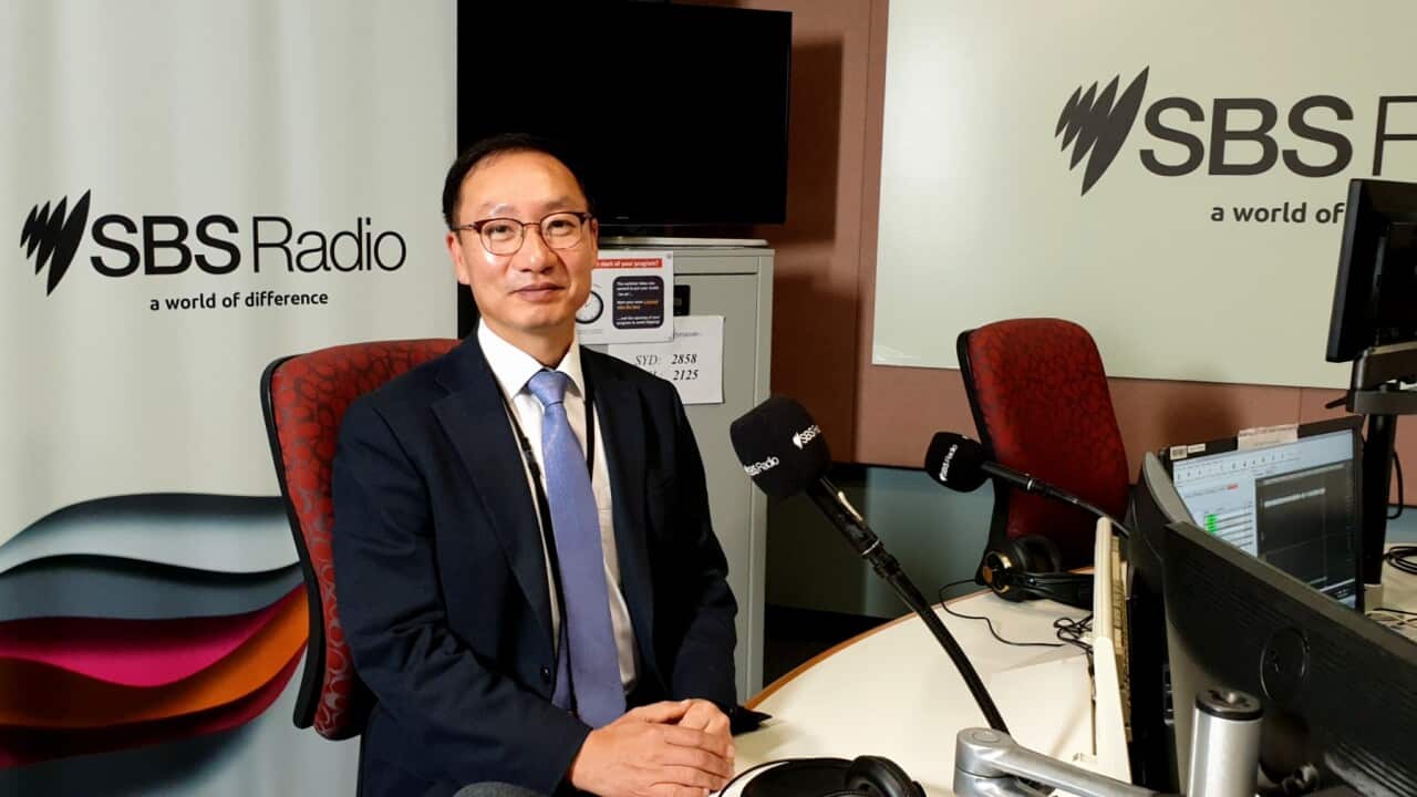 Image for read more article 'READ MORE'