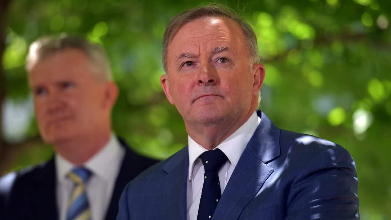 Leader of the Opposition Anthony Albanese.