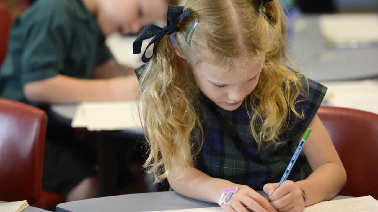 Primary school students