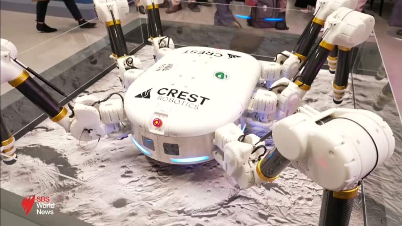 The sharpest minds in astronomy have descended on Sydney for one of the world's largest space events.