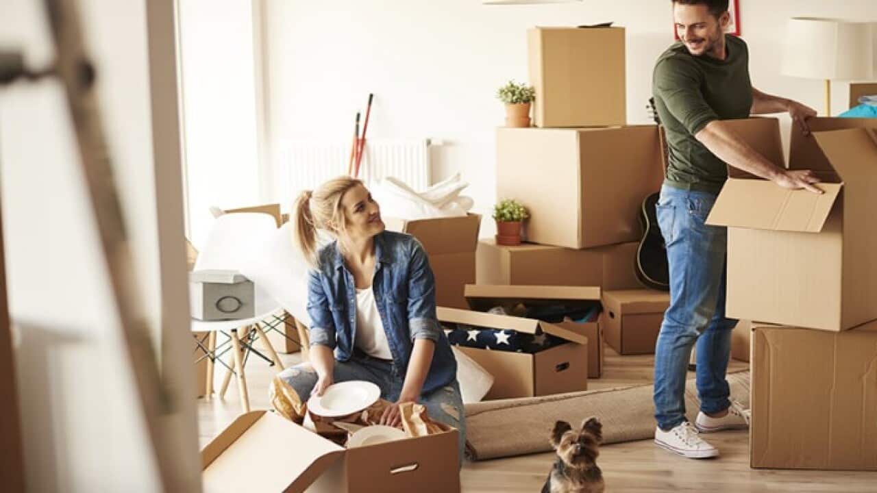 Moving.jpg