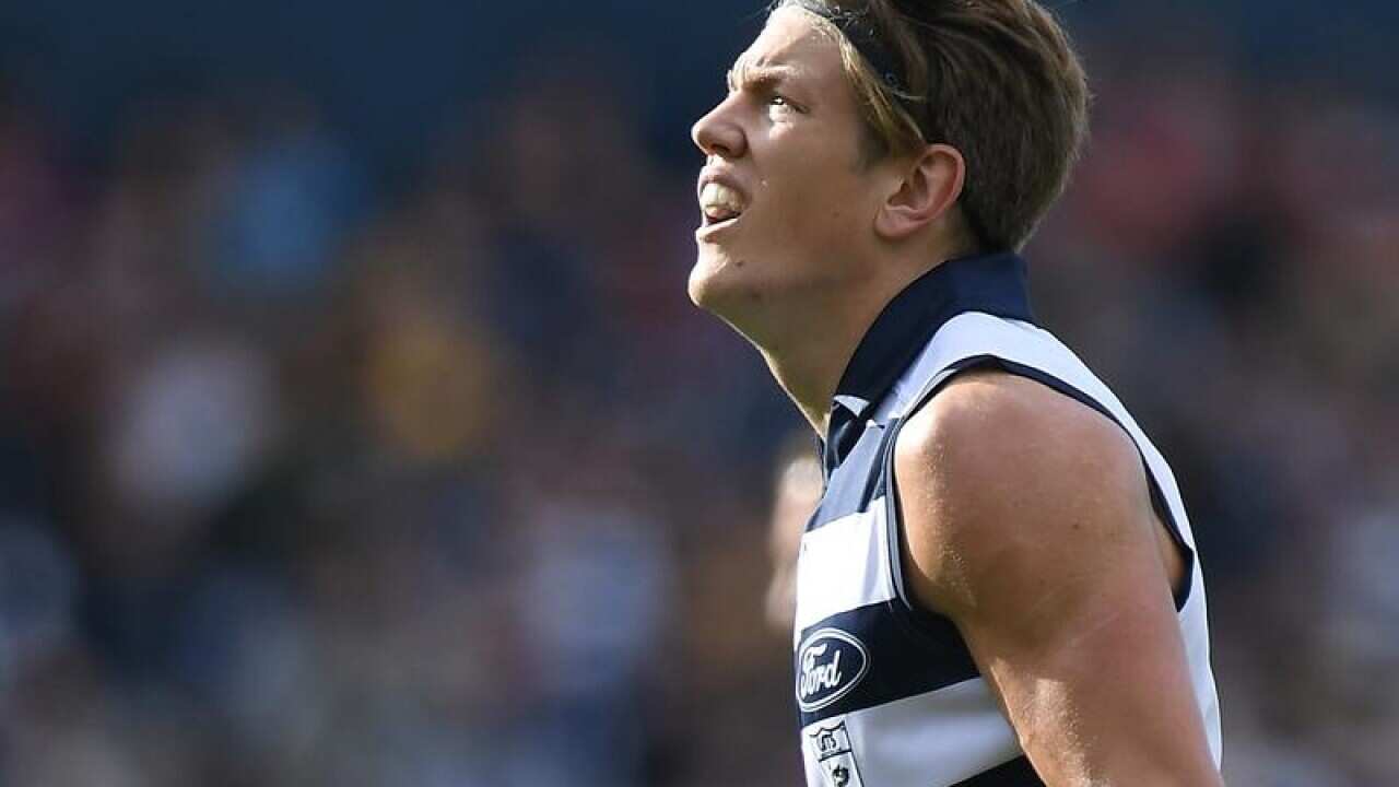 Mark Blicavs of the Cats