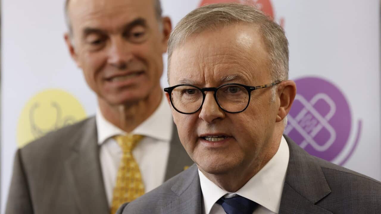 ANTHONY ALBANESE TASMANIA VISIT