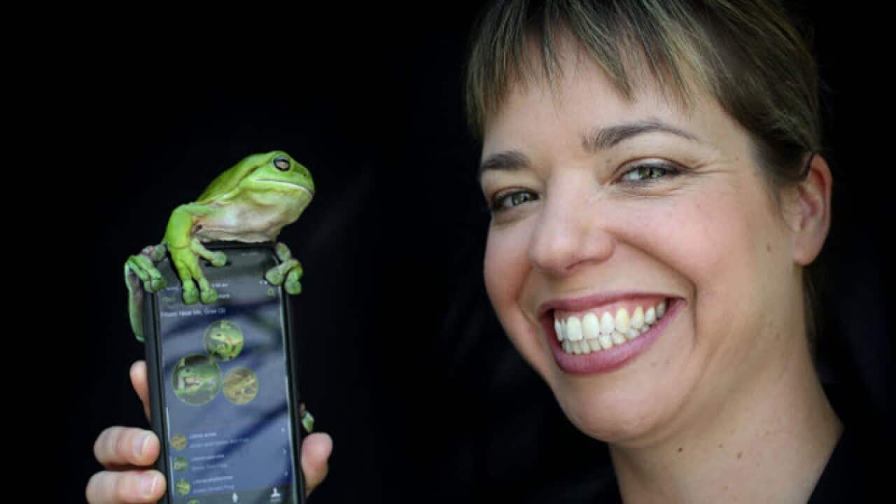 FrogID Week in Australia