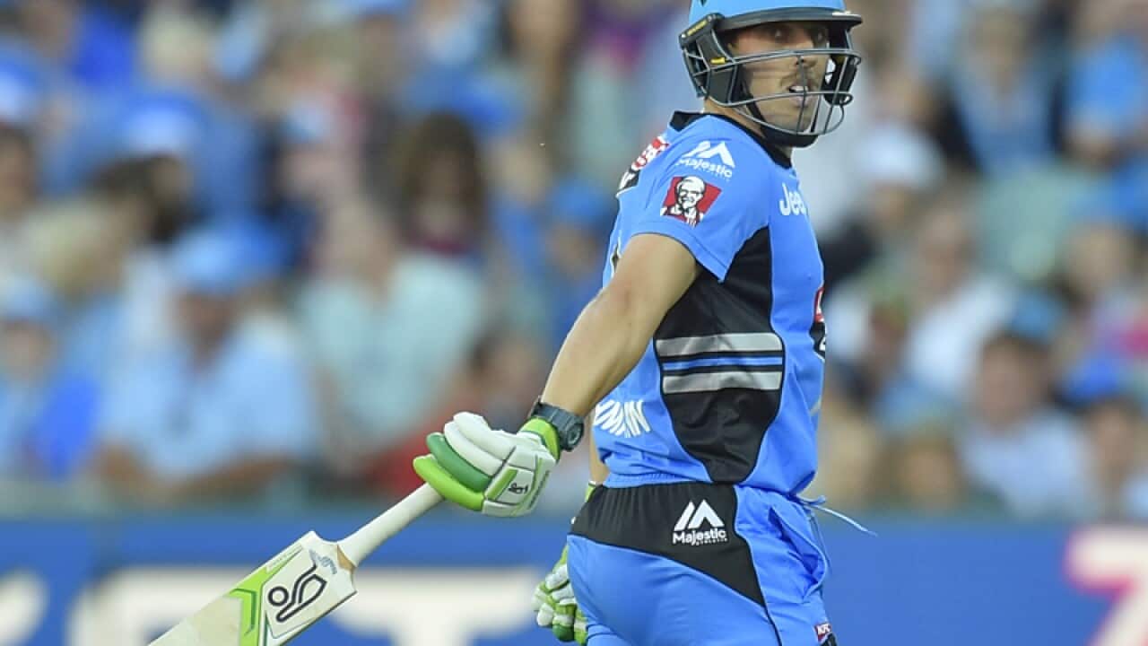 Adelaide Strikers allrounder Jake Lehmann