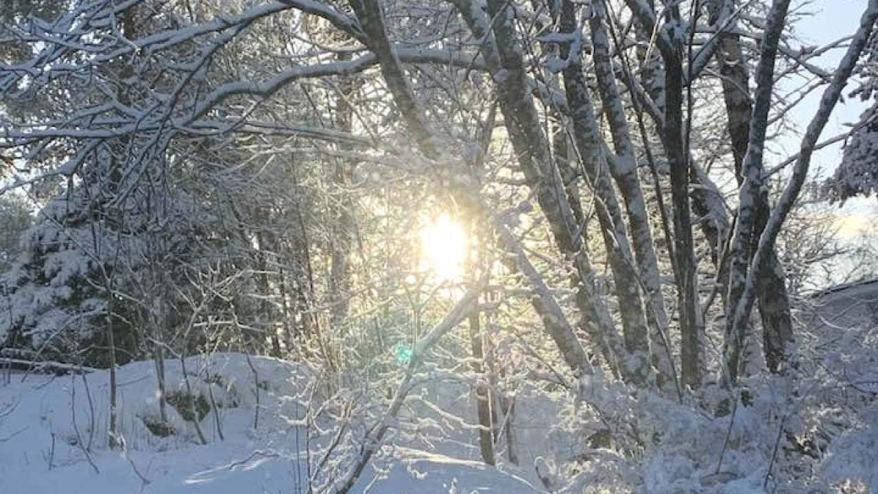 kevättalven_aurinko