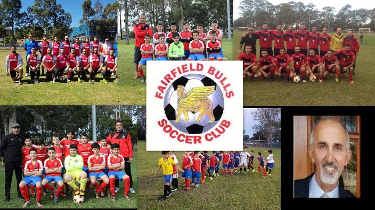 Fairfield bulls soccer club