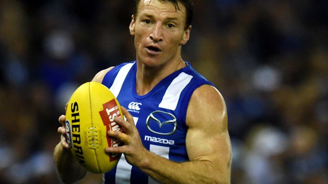 Brent Harvey of the Kangaroos