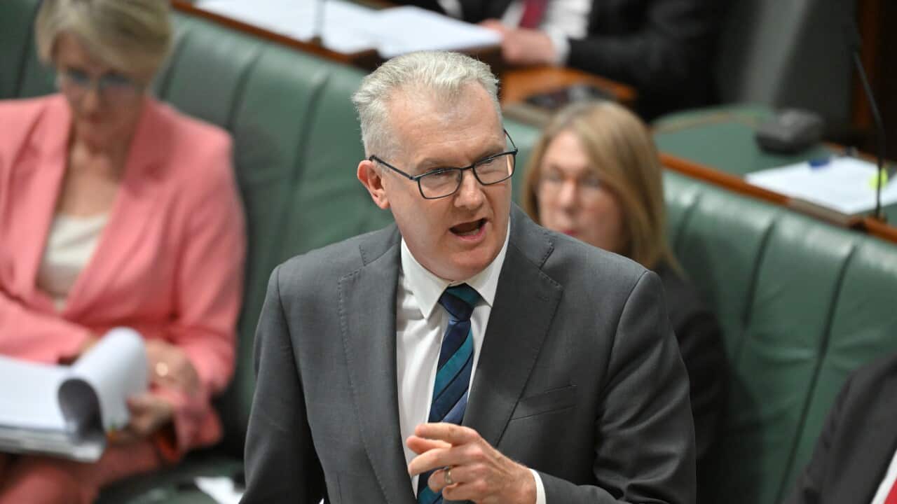 Il ministro per l'Immigrazione Tony Burke durante un Question Time  in parlamento.