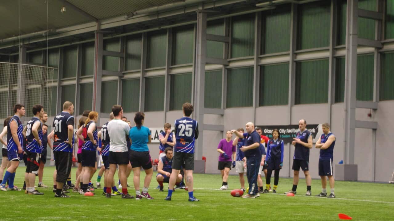 sharks3_140131_hannah.jpg