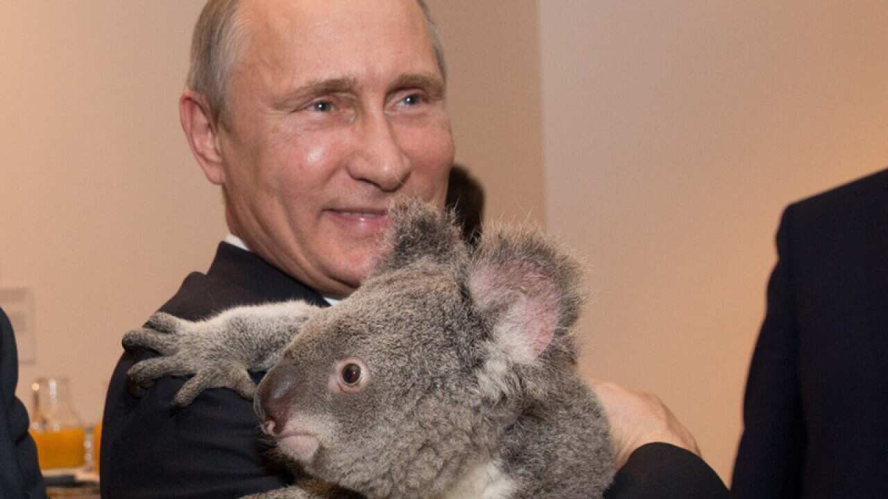 Russia's President Vladimir Putin