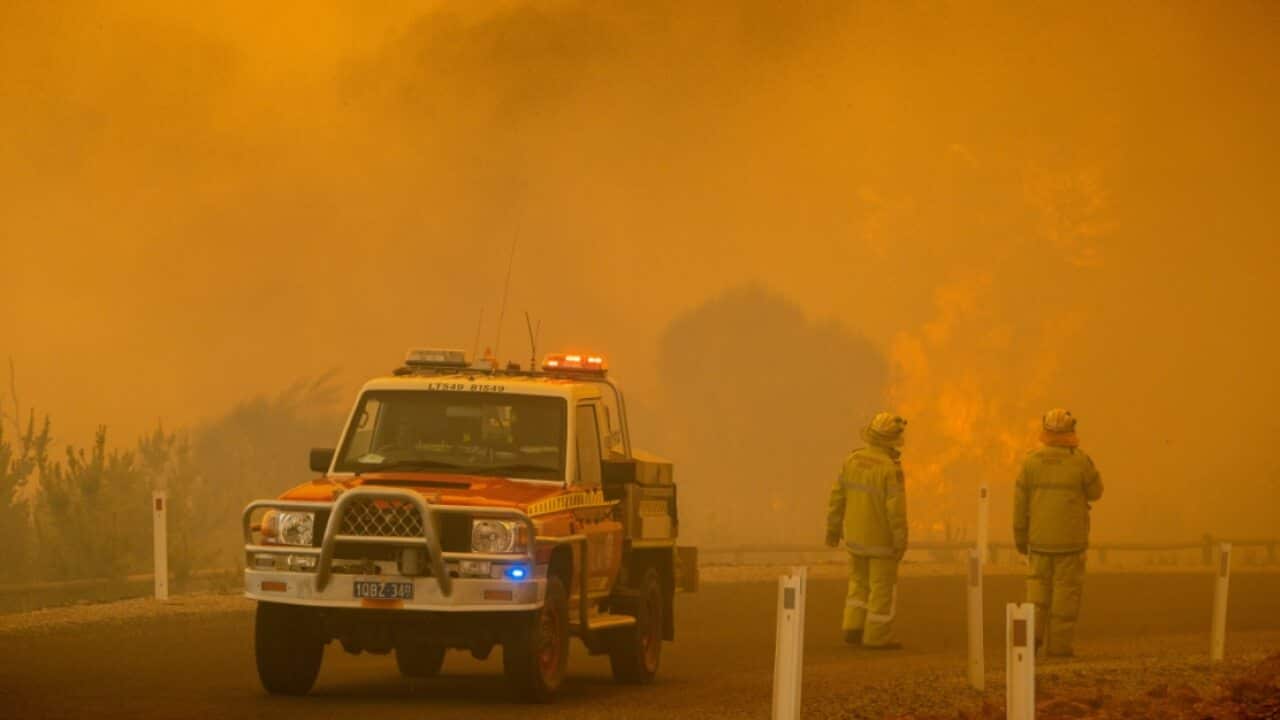 Firefighters in Western Australia battle the blaze at Wooroloo, near Perth, Tuesday, 2 February